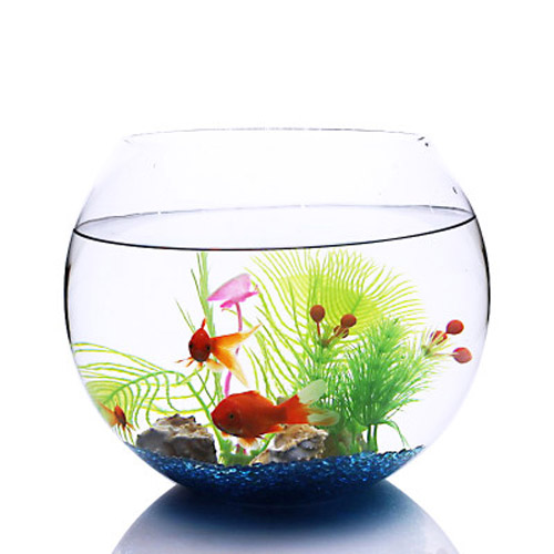 數(shù)量顏色有講究辦公室養(yǎng)魚風水知識
